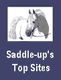Saddle Up