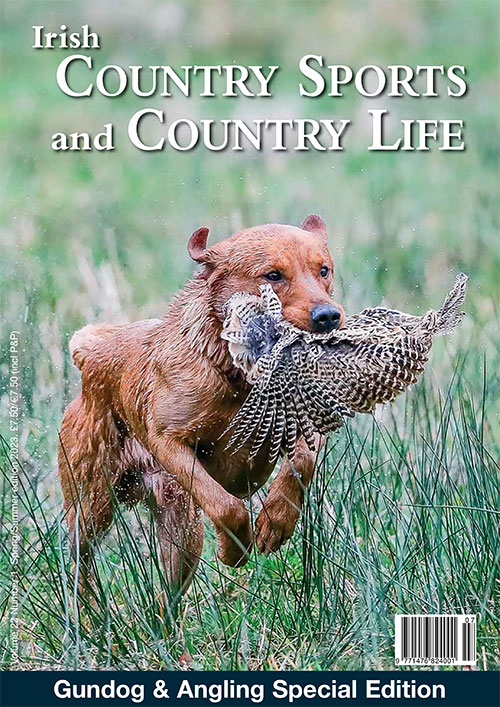 Countrysports and Country life - Home