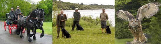 Carriages, Gundogs and Owls