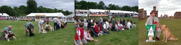 Gundogs, Falconry and Dog Show