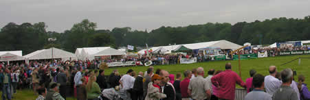Crowds 2006