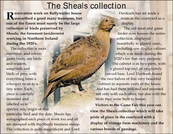 The Sheals collection