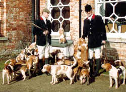 The Stour Valley Beagles with (then) huntsman Liam Thom (left) and Master James Fairbanks